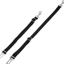 Cinto de Segurança para Cachorro Energy Express