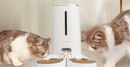 Alimentador Automático para Gatos e Cães com Wifi para Alimentação Remota