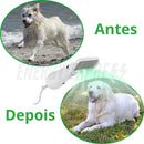 Rasqueadeira Elétrica Pente com Secador para Escovar Pelos de Pet Cachorro Gato energy express