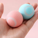 Bola Inteligente para Gatos Brinquedo Interativo