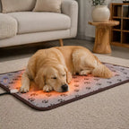Tapete Térmico para Pet com Controle de Temperatura – Cama Aquecida para Cães e Gatos Impermeável Energy Express