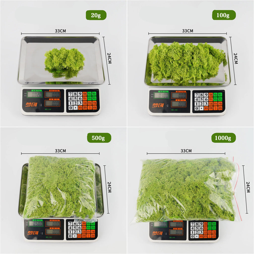 Musgo Artificial Decorativo para Artesanato, Terrários e Quadros Energy Express