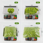 Musgo Artificial Decorativo para Artesanato, Terrários e Quadros Energy Express