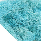 Musgo Artificial Decorativo para Artesanato, Terrários e Quadros Energy Express