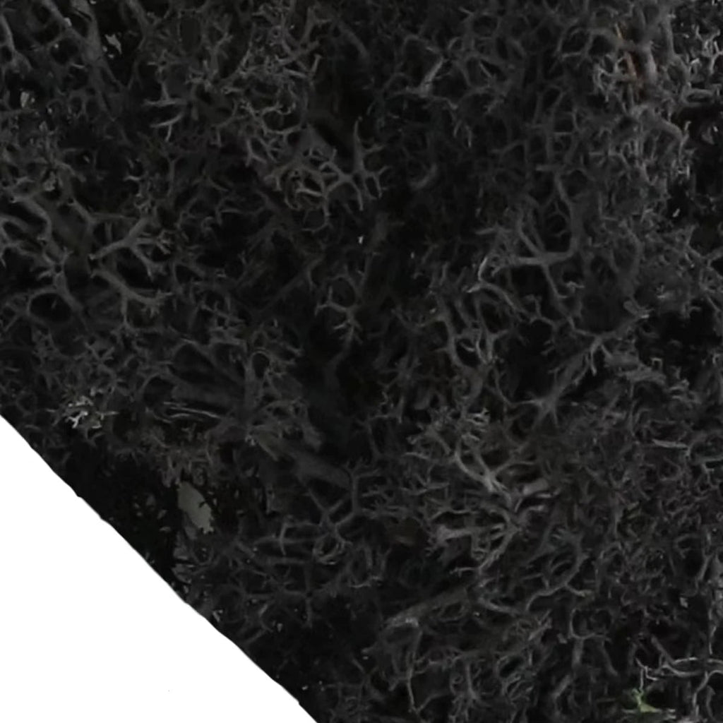 Musgo Artificial Decorativo para Artesanato, Terrários e Quadros Energy Express