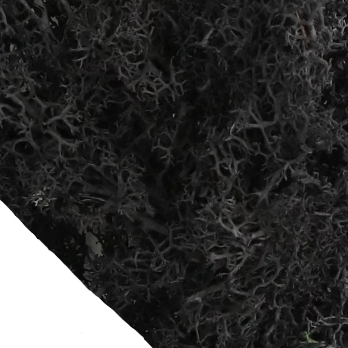 Musgo Artificial Decorativo para Artesanato, Terrários e Quadros Energy Express