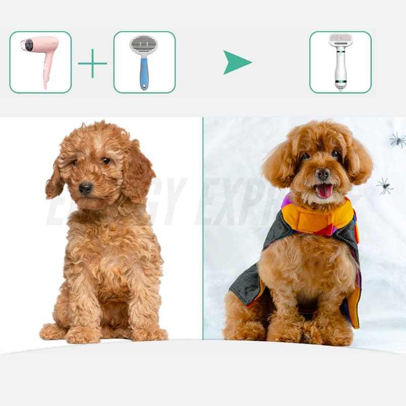 Rasqueadeira Elétrica Pente com Secador para Escovar Pelos de Pet Cachorro Gato energy express