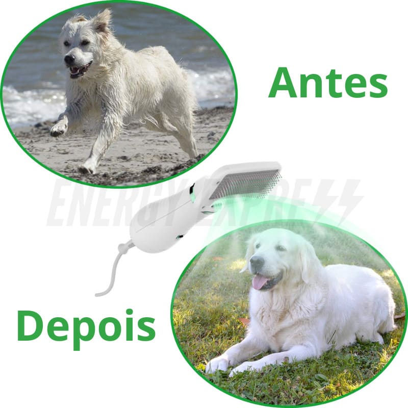 Rasqueadeira Elétrica Pente com Secador para Escovar Pelos de Pet Cachorro Gato energy express