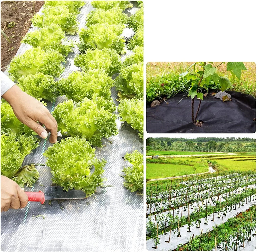 Ráfia de Solo para Cobertura de Solo Antiderrapante Energy Express