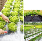 Ráfia de Solo para Cobertura de Solo Antiderrapante Energy Express