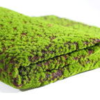 Musgo Artificial Decoração Realista para Jardim Energy Express