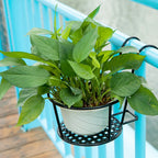 Suporte para Vaso de Planta Europeu