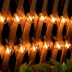 Varal de Luzes Led Iluminação Decorativa Externa Energy Express