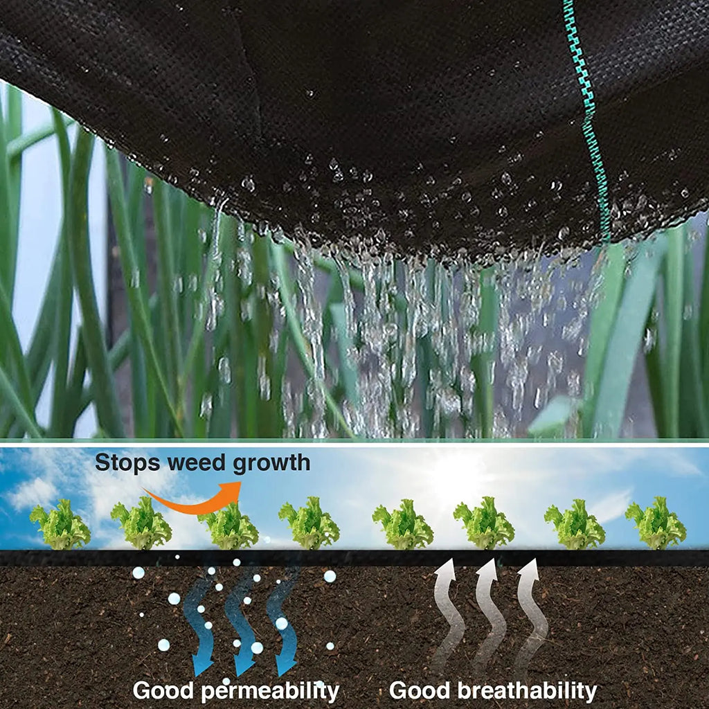 Ráfia de Solo para Cobertura de Solo Antiderrapante Energy Express