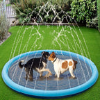 Piscina com Chafariz para Cachorros e Crianças