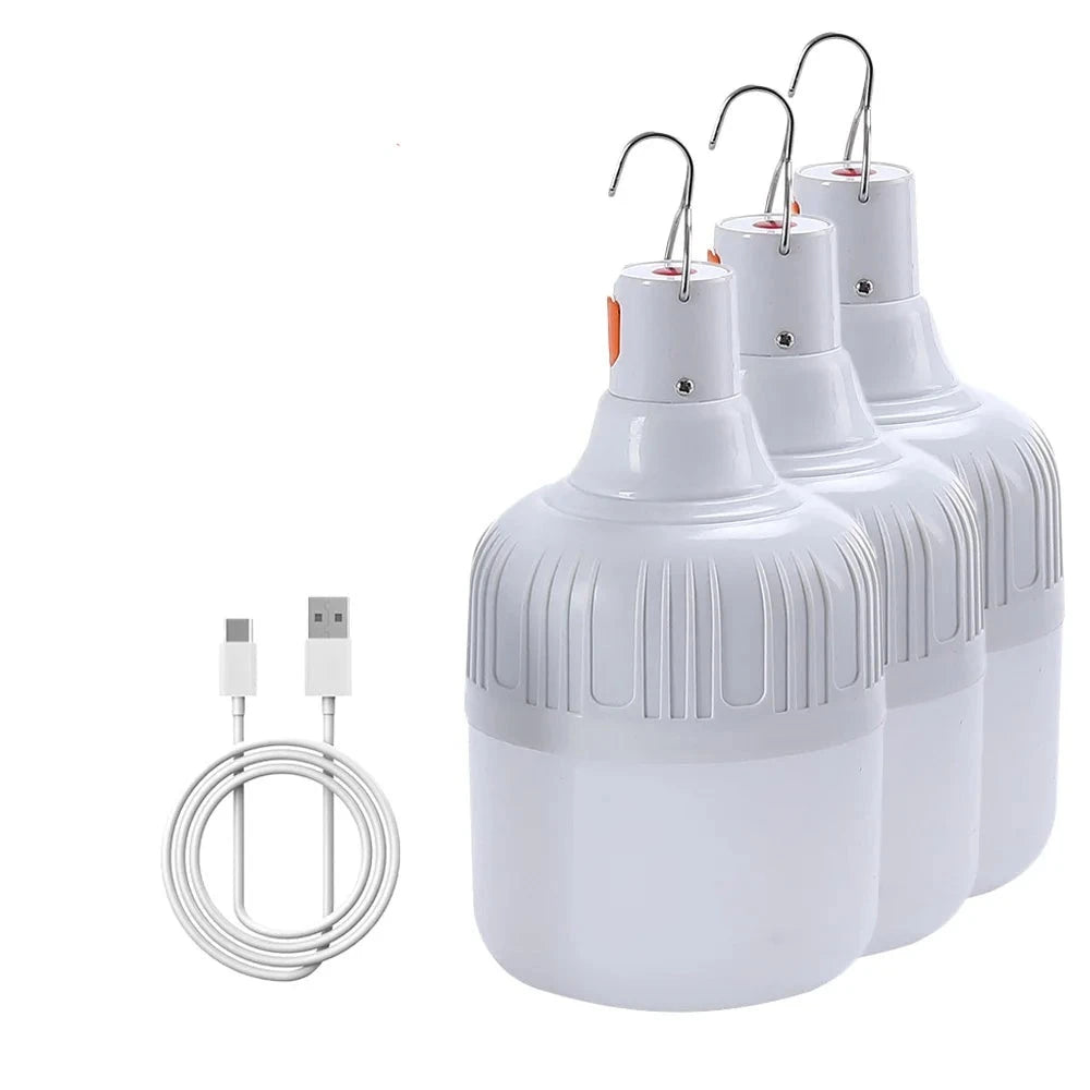 Lâmpada de Led Recarregável Usb ENERGY EXPRESS