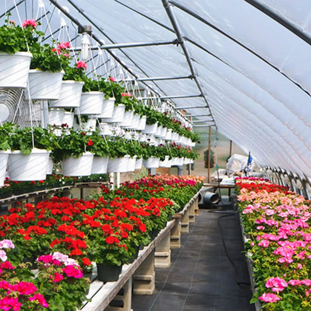 Ráfia de Solo para Cobertura de Solo Antiderrapante Energy Express