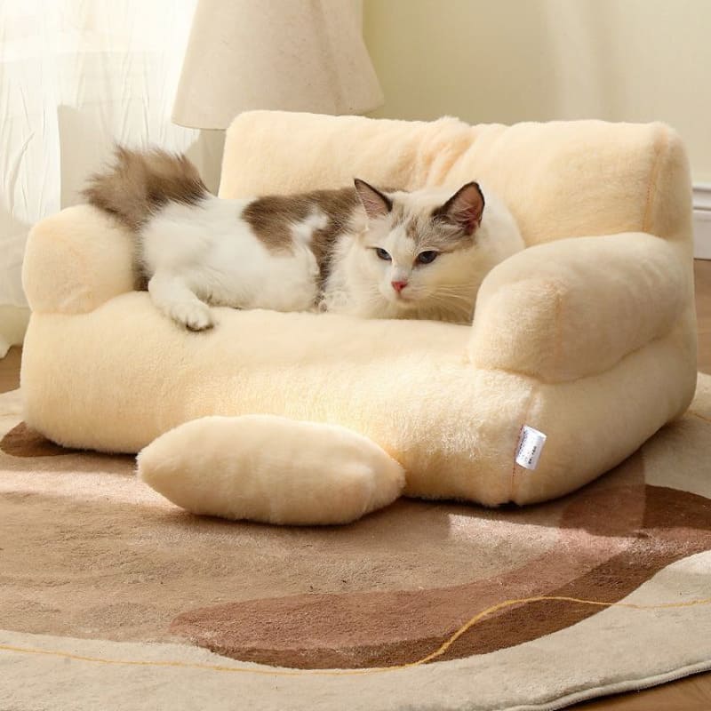 Sofá para Cachorro e Gato - Sofazinho Pet Energy