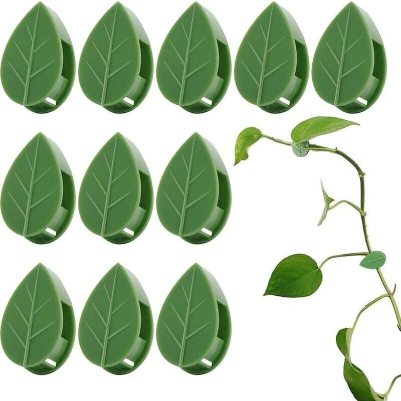 Suporte Adesivo Guia para Tutorar Plantas Trepadeira Energy Express