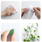 Suporte Adesivo Guia para Tutorar Plantas Trepadeira Energy Express