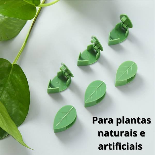 Suporte Adesivo Guia para Tutorar Plantas Trepadeira Energy Express