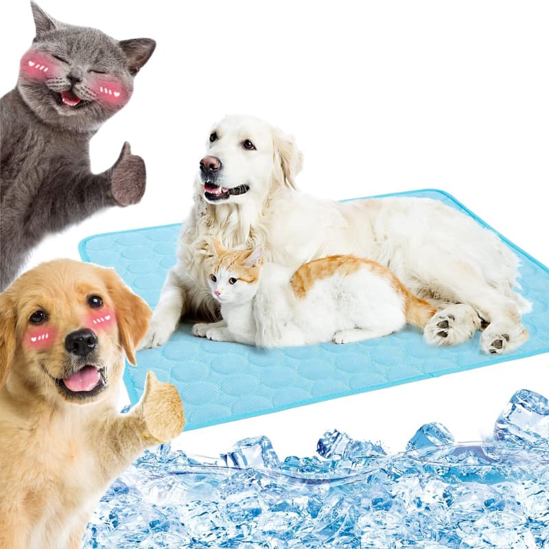 Tapete Gelado Pet cachorro gatos Térmico Refrescante azul Energy Express