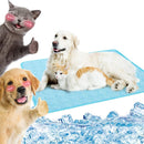 Tapete Gelado Pet cachorro gatos Térmico Refrescante azul Energy Express