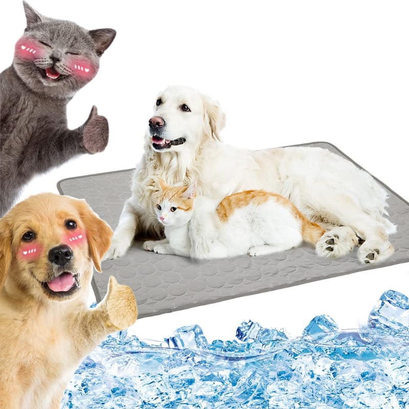 Tapete Gelado Pet cachorro gatos Térmico Refrescante cinza Energy Express