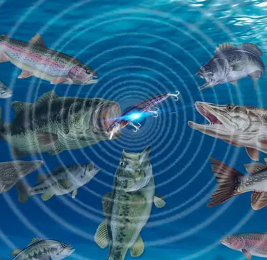 Isca de Pesca Elétrica Recarregável USB com LED e Vibração Energy Express