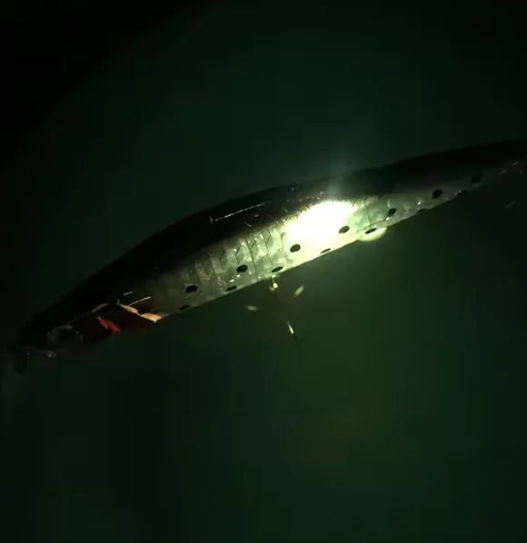 Isca de Pesca Elétrica Recarregável USB com LED e Vibração Energy Express